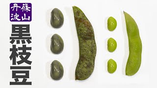 【酒の肴レシピ】丹波篠山産 黒豆枝豆の食べ方