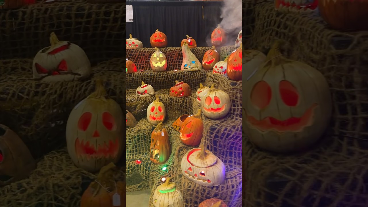 🎃 This is Halloween!  #shorts #shortsfeed #halloween #pumpkin