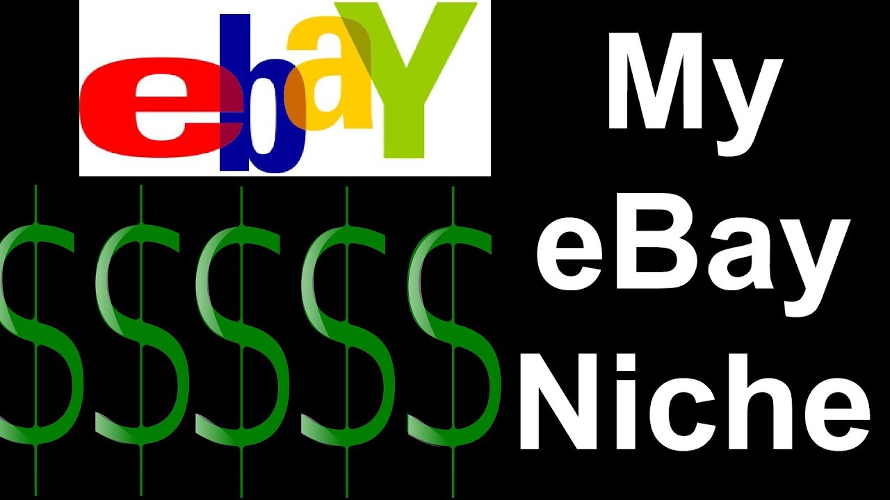 My eBay Niche - Lots of PROFIT