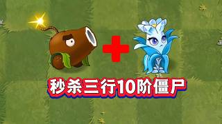 最强帧伤组合！水晶兰算不算全网最超模？