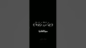 ﴿ فِي جَنَّةٍ عَالِيَةٍ ﴾ القارئ : عبد الرحمن مسعد 🥀 سورة الغاشية #فولو