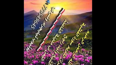 الشيخ وليد راجح سورة الغاشية