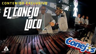 Video thumbnail of "El Conejo Loco / Dime Donde y Cuando - Internacionales Conejos 2022"