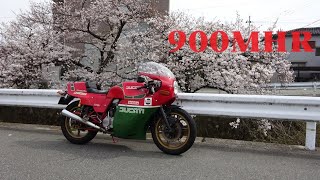 ドゥカティ 900 マイク・ヘイルウッド レプリカ / DUCATI 900 Mike