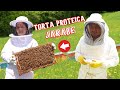 🔴 Con que ALIMENTAR las ABEJAS / Jarabe y Proteína