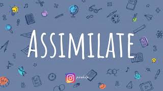 Assimilate meaning | Learn English Vocabulary | Word of the Day