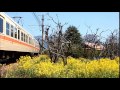春・伊予鉄道　横河原線 の動画、YouTube動画。