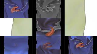 Dreamworks Animation Skg Shark Tale Variant In G-Major 8926 Has A Sparta Gamma Remix