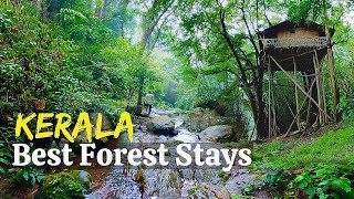 Best Forest stays in Kerala English | Jungle Cottages in Gavi, Thekkady, Nelliyampathi 4K
