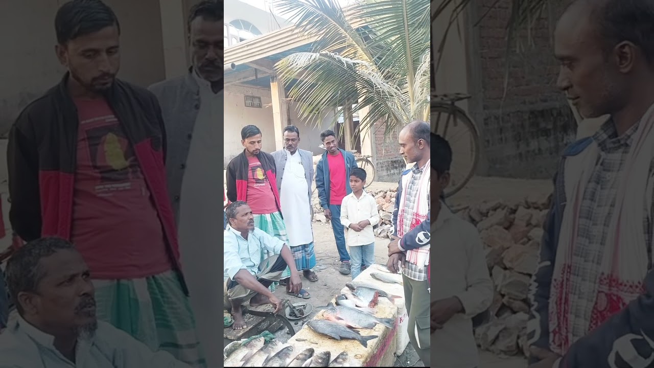 মাছ বেপার ী আর কাস্টমারের মাঝে কি হল দেখুন 