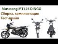 Musstang МТ125 DINGO сборка, распаковка, тест драйв