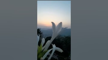 Surah al Kausar \سورة الكوثر/ by Hafiz M.Yahya Abbasi