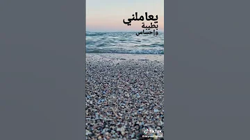 بحر اسطنبول اغنية الوتر الحساس شيرين عبد الوهاب 