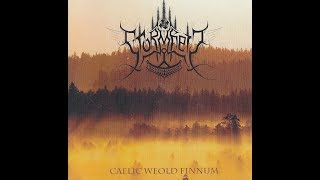 Stormheit  'Caelic Weold Finnum' - full album 2009