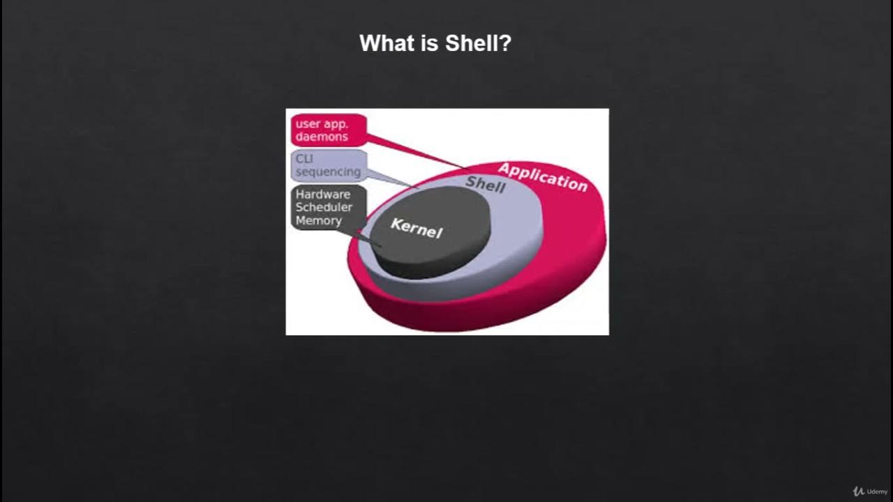 User shell. Система Shell.