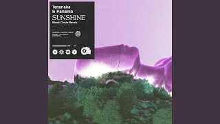 Sunshine (Black Circle Remix)