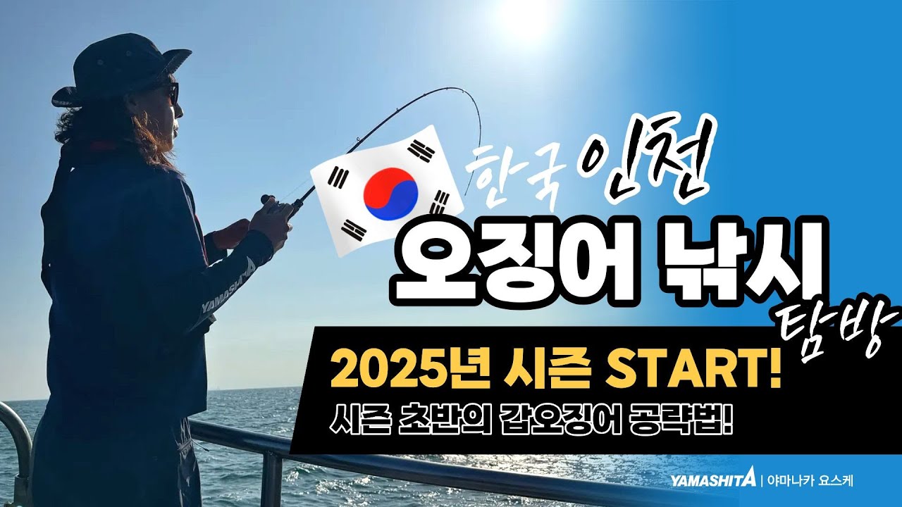 【야마나카 요스케의 한국오징어낚시 탐방】 2025년 시즌 START! 시즌 초반 갑오징어 공략법 꿀팁 전달!