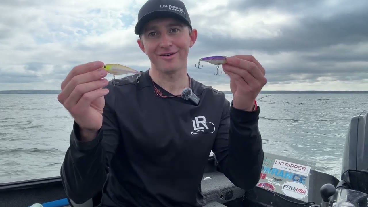 Лучшие воблеры для троллинга судака на озере Оахе