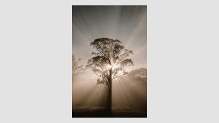 Fuji X100F - Camping Australia