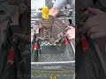 How Farmers Used to Do It: The Satisfying Crank of a Vintage Corn Sheller #dailywork