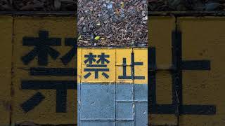 禁止🈲 #Interdit #Verboten  #Prohibido#Vietato#Proibid#きんし #금지#禁止 🚫