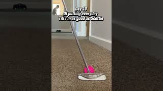 Day 10 of putting everyday till I’m as good as Scottie #golf #putting#puttingpractice