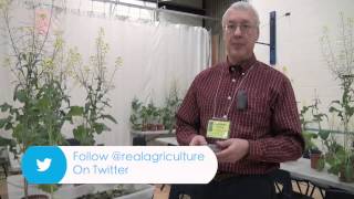 Canola School - Making Adjustments for Seed Size