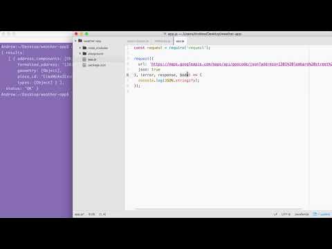 Node.js Developer Course፡ Asynchronous Node.js Pretty Printing Objects