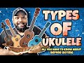 Types of Ukulele |ഏതാണ് നിങ്ങൾക് പറ്റിയ UKULELE Type ? | Detail Explanation in MALAYALAM |Alen Jojan