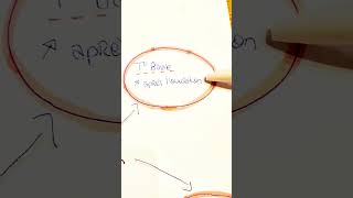 Quels Sont Les Signes Dune Bonne Ovulation?