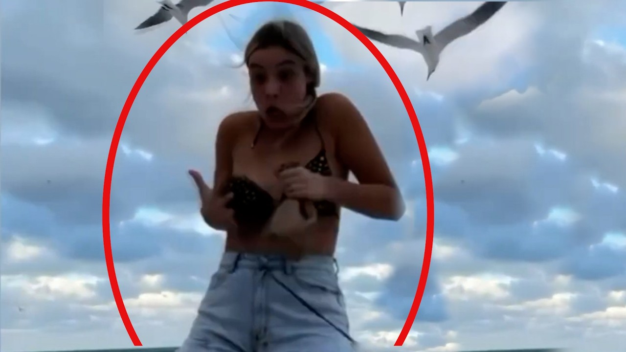 এমন হাস্যকর মুহূর্ত আপনি এর আগে  কখনো দেখেননি | মায়াজাল | আমেজিং দুনিয়া | ADVUT 10 | amazing world