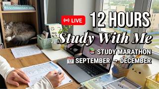 12-HOUR LIVE 🔴 STUDY SESSION | Pomodoro 50/10 🪵🔥 Fireplace
