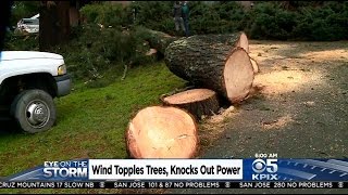 Storm Winds Topple Trees, Power Lines In Oakland Hills