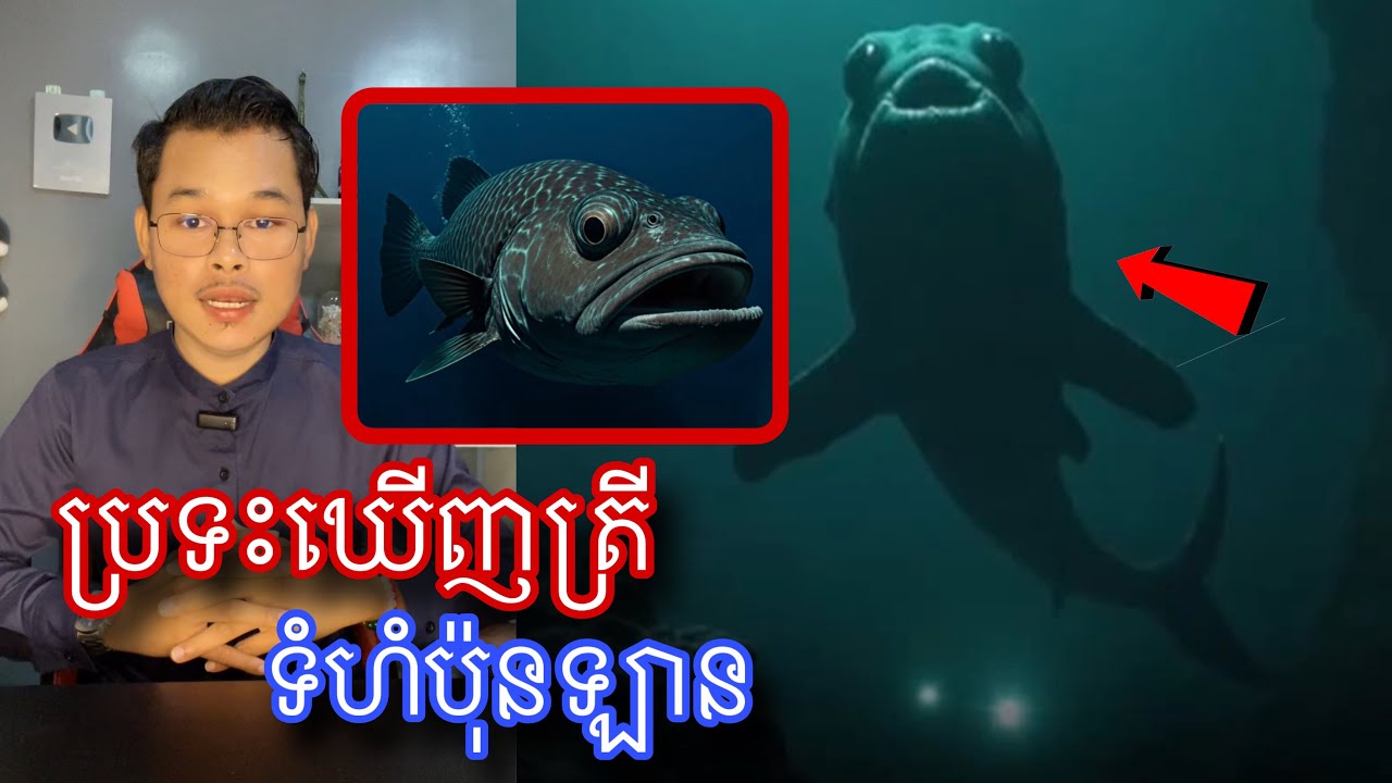 ប្រវត្តិរឿងរាវការជួបប្រទះត្រីយក្សប្រវែង១២ម់ែត្រក្រោមបាតសមុទ្រ l Mr.Veasna2