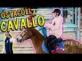 Faccio il PERCORSO ad OSTACOLI a CAVALLO con la NICOLE! ♥