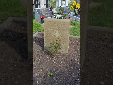 Video: Tag en tur gennem Highgate Cemetery i London