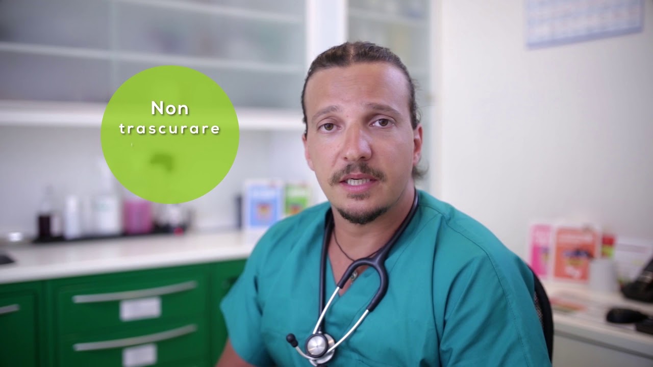 I problemi articolari nel cane