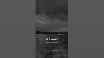 سورة النحل الشيخ ناصر القطامي