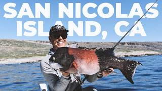 San Nicolas Island Giant Sheephead | Kicker Fishing Brand