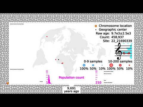 Data Playground