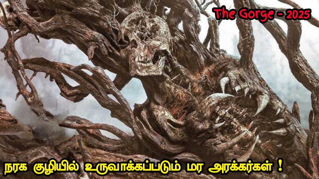 மிஸ் பண்ணவே கூடாத அட்டகாசமான படம் | Tamil Hollywood Times | movie story explained in tamil
