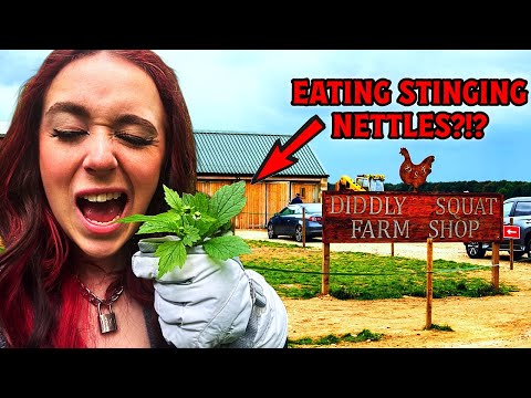 I ATE STINGING NETTLES!!!