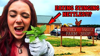 I ATE STINGING NETTLES!!!