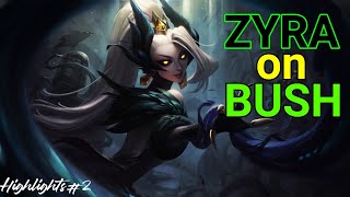 Zyra On Bush Highlights