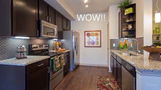 A3 One Bedroom Floorplan