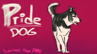 PRIDE  | Dog PMV