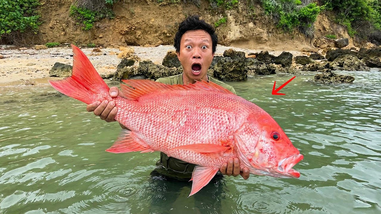 Thử Thách Sinh Tồn Nơi Hoang Dã - Không Thức Ăn, Không Nước Uống | P4