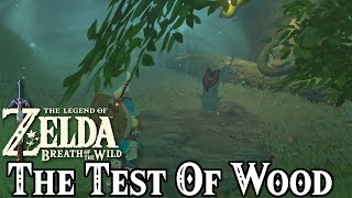 The Test Of Wood Shrine Quest Guide & Maag Halan Shrine Location - LoZ: Breath Of The Wild
