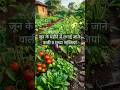 जून के महीने में जरूर लगाएं ये 5 सब्जियां! 🍅🥬 #gardening#shorts #viral