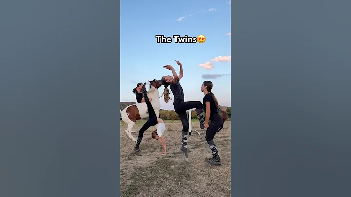 The twins😍 #trending #horse #france #equestrian #horseriding #fyp #viralshorts #foryou #foryoupage